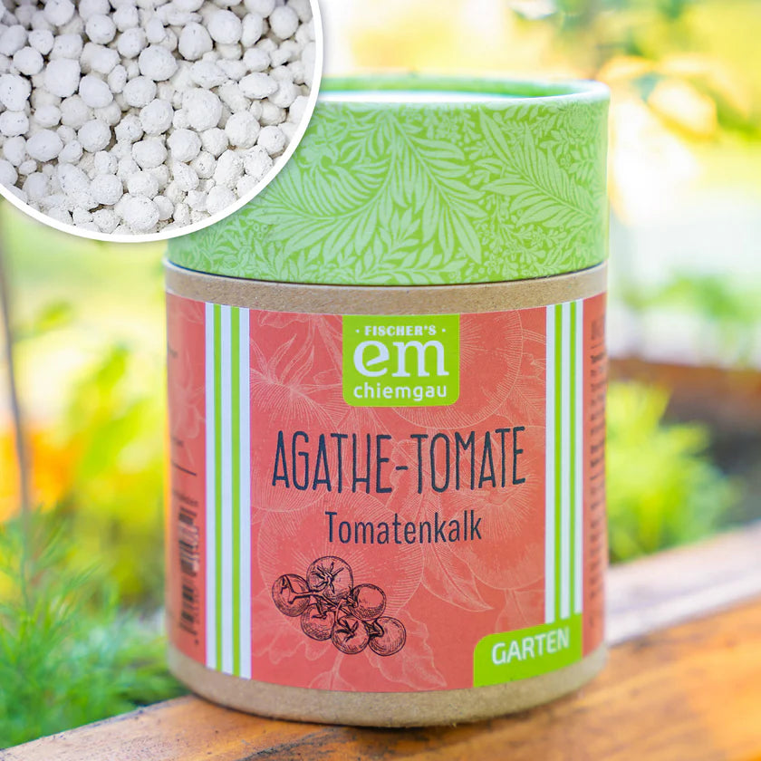 Agathe-Tomate, 600 g Pappdose
