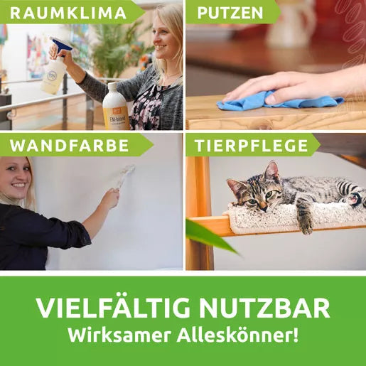 EM-Blond | Der Alleskönner