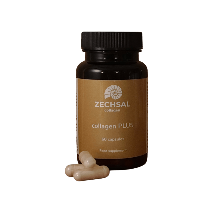 Zechsal Kollagen PLUS 60 Kapseln