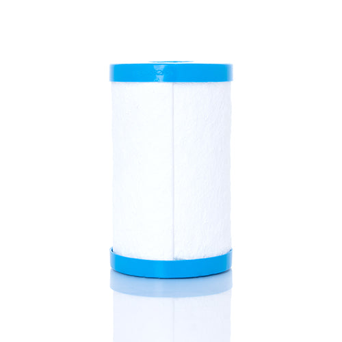 LifePlus Ersatzfilter Modell 450
